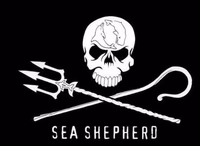 Logo Sea Shepherd